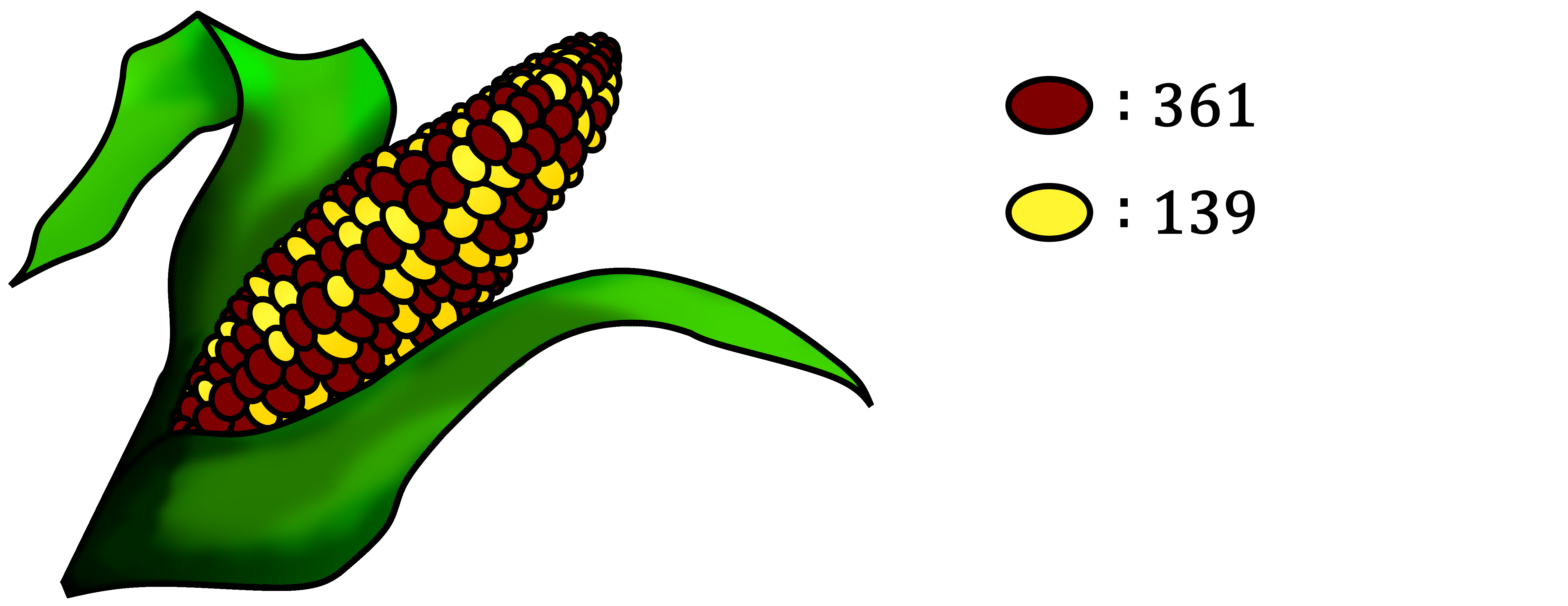 A cob of corn with differently colored kernels.