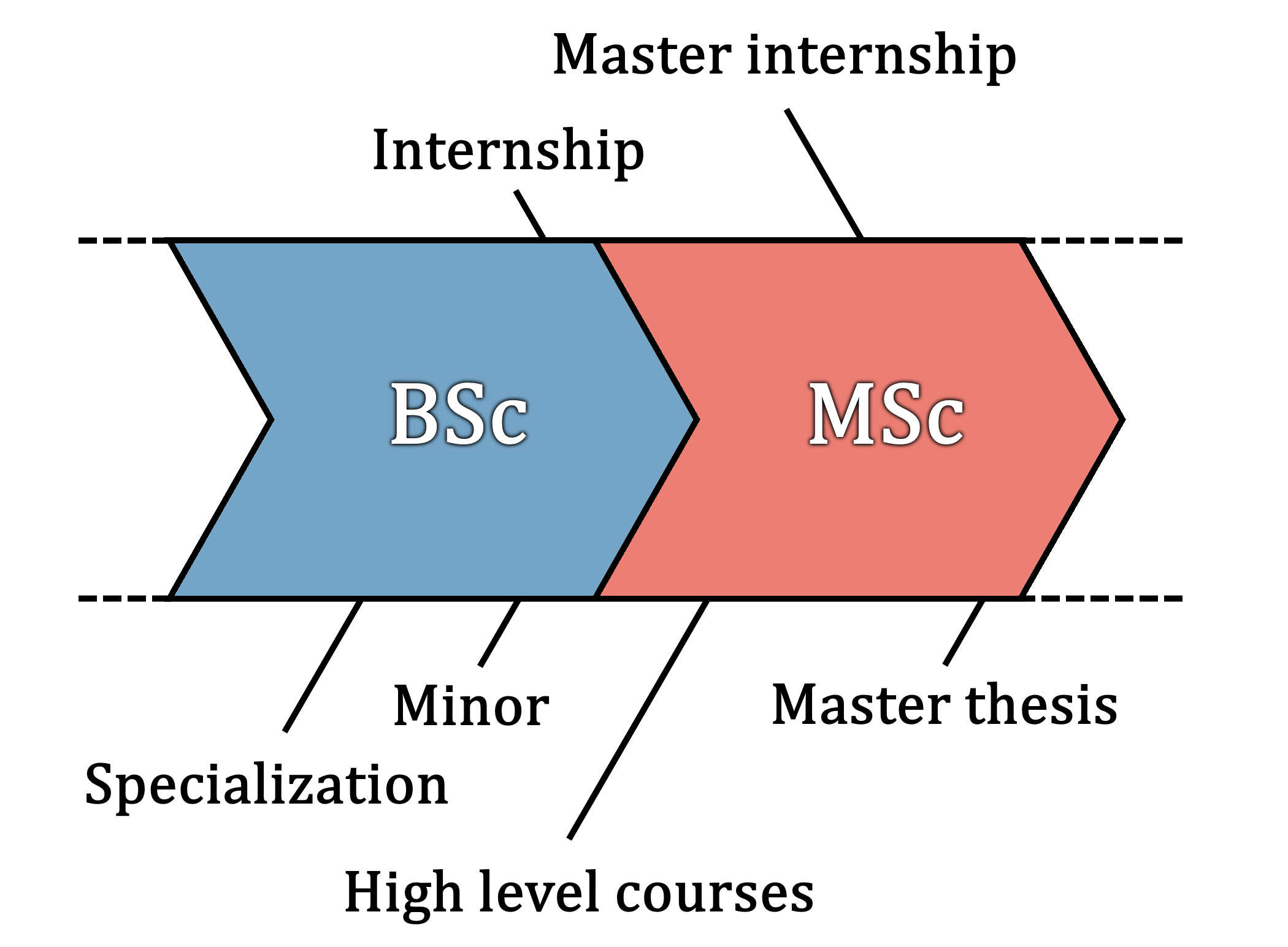 chapter-10-what-can-you-do-with-a-bsc-biology-personal